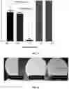 Fig. 12 - PLASMA IMMOBILIZATION OF BACTERIOPHAGES AND APPLICATIONS THEREOF