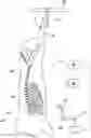 Fig. 01 - Cutting fore end from hanging half pig carcass