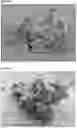 Fig. 02 - NOVEL COATED BULKING AGENT PARTICLES