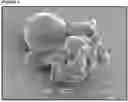 Fig. 03 - NOVEL COATED BULKING AGENT PARTICLES