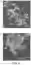 Fig. 05 - Method of producing a food or beverage product with free divalent cations protein aggregation
