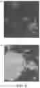 Fig. 08 - Method of producing a food or beverage product with free divalent cations protein aggregation