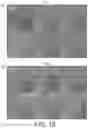 Fig. 13 - Method of producing a food or beverage product with free divalent cations protein aggregation