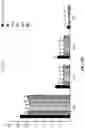 Fig. 10 - FEED FOR ENHANCING IMMUNITY OF TILAPIA AND PREPARATION METHOD THEREOF