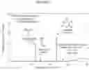 Fig. 08 - METHODS AND COMPOSITIONS FOR IMPROVING THE TASTE OF DIET COLA SODAS AND OTHER BEVERAGES