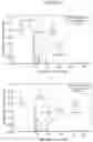 Fig. 09 - METHODS AND COMPOSITIONS FOR IMPROVING THE TASTE OF DIET COLA SODAS AND OTHER BEVERAGES