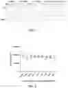 Fig. 02 - SYNERGISTIC COMPOSITION OF FOOD-BASED AND ORGANIC NUTRIENTS AND METHODS FOR USE AND MANUFACTURE