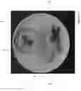 Fig. 02 - TEXTURE MODIFIED FOOD PRODUCT
