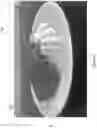 Fig. 07 - TEXTURE MODIFIED FOOD PRODUCT