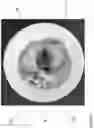 Fig. 08 - TEXTURE MODIFIED FOOD PRODUCT