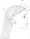 Fig. 01 - HAIR TOPPER