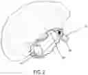 Fig. 03 - Shower Cap With Ear Loops