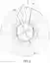 Fig. 04 - Shower Cap With Ear Loops