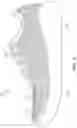 Fig. 03 - Article with ribbon structure having nodes and links