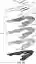 Fig. 22 - Article with ribbon structure having nodes and links