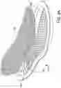 Fig. 06 - FOOTWEAR ARTICLES AND METHODS FOR PREPARING A FOOTWEAR ARTICLE