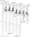 Fig. 17 - Systems and methods for an improved ratcheting device including pivoting tooth