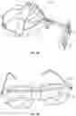 Fig. 03 - Numerical system control of ophthalmic visualization and image system