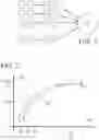 Fig. 02 - MUSCLE FATIGUE DETERMINATION METHOD