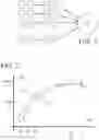 Fig. 02 - Muscle fatigue determination method and system