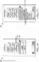 Fig. 17 - Apparatus and method for fetal intelligent navigation echocardiography