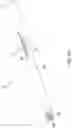 Fig. 07 - Variable pitch tapered compressing screw for dynamic compression