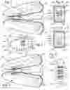 Fig. 02 - DEVICES FOR TREATING TRISMUS AND METHODS OF USE