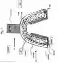 Fig. 02 - UPPER JAW FITTING ELEMENT FOR FITTING TO A HUMAN UPPER JAW