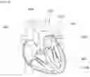 Fig. 07 - Prosthetic valve forming template and prosthetic valve