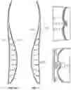 Fig. 13 - BACK SUPPORT SYSTEM