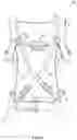 Fig. 11 - POSTURE CORRECTION BRACE