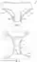 Fig. 02 - Absorbent garment and method of manufacture thereof