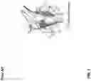 Fig. 02 - SHORT ARC, HIGH FREQUENCY CONSTANT PASSIVE MOTION MACHINES AND METHODOLOGIES