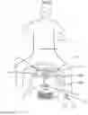 Fig. 05 - A TIME SAVING SIT ON CARDIO PULMONARY RESUSCITATION DEVICE AND METHOD