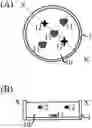 Fig. 01 - OIL-BASED COSMETIC PRODUCT HAVING DECORATIVE LAYER