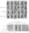 Fig. 07 - Use of salidroside derivative in external preparation for skin whitening