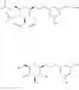 Fig. 24 - Use of salidroside derivative in external preparation for skin whitening