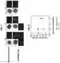 Fig. 06 - POLYRIBONUCLEOTIDES AND COSMETIC USES THEREOF