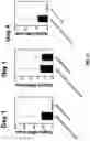 Fig. 08 - POLYRIBONUCLEOTIDES AND COSMETIC USES THEREOF