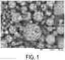 Fig. 02 - PARTICLES CONTAINING CELLULOSE ACETATE, COSMETIC COMPOSITION, AND METHOD FOR PRODUCING PARTICLES CONTAINING CELLULOSE ACETATE