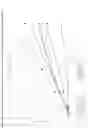Fig. 04 - Film formulations containing dexmedetomidine and methods of producing them