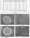 Fig. 04 - Method for preparing probiotic-loaded microcapsule, product obtained from the same, and use of the same