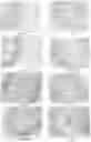 Fig. 06 - Method for preparing probiotic-loaded microcapsule, product obtained from the same, and use of the same