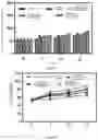 Fig. 08 - Method for preparing probiotic-loaded microcapsule, product obtained from the same, and use of the same