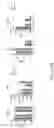 Fig. 149 - COMPOSITIONS AND METHODS FOR MODULATING METABOLIC REGULATORS OF T CELL PATHOGENICITY