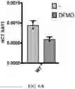 Fig. 33 - COMPOSITIONS AND METHODS FOR MODULATING METABOLIC REGULATORS OF T CELL PATHOGENICITY
