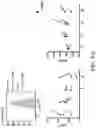 Fig. 41 - COMPOSITIONS AND METHODS FOR MODULATING METABOLIC REGULATORS OF T CELL PATHOGENICITY