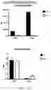Fig. 45 - COMPOSITIONS AND METHODS FOR MODULATING METABOLIC REGULATORS OF T CELL PATHOGENICITY