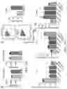 Fig. 85 - COMPOSITIONS AND METHODS FOR MODULATING METABOLIC REGULATORS OF T CELL PATHOGENICITY