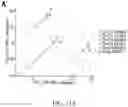 Fig. 87 - COMPOSITIONS AND METHODS FOR MODULATING METABOLIC REGULATORS OF T CELL PATHOGENICITY
